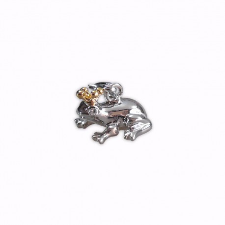 Charm prince grenouille Charm prince grenouille
