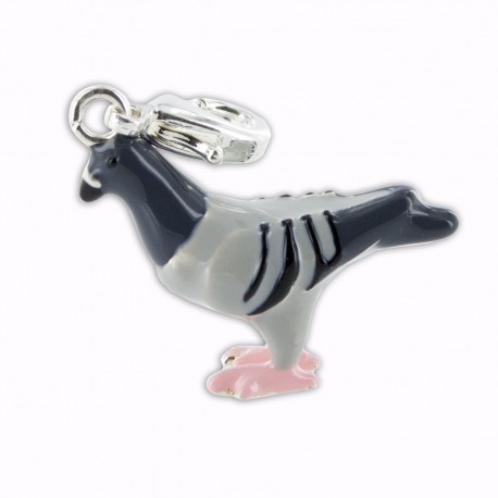 Charm pigeon